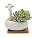 Cuteforyou Succulent Pots,Cute Animal Shaped Cartoon Ceramic Succulent Cactus Flower Planters with Bamboo Tray -Plant Not Included (Giraffe)