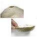 Natural Pearl Gold Powder for Kintsugi Repair and Makie from Japan 10g