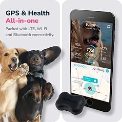 FitBark GPS Dog Tracker 2nd Gen (2022) | Health