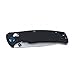 Knife F7542 GANZO Firebird Pocket Folding Hunting Knife G-10 Handle SS Blade (Black)