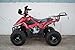 110cc Four Wheelers 6