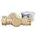 AECOJOY Water Pressure Regulator Brass Lead Free, NH Thread for RV, Adjustable Plumbing with Guage
