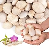 Lechloris 20lb Cream White River Rocks Outdoor