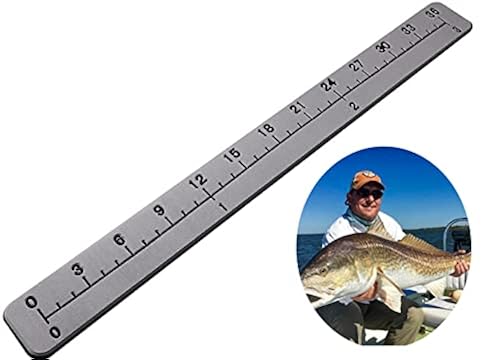 Foam Fish Measuring Board with Adhesive Backing, Fish Measure