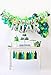 LaVenty Dinosaur Monthly Photo Banner Dinosaur 12 Month Banner First Birthday Party Decoration