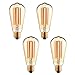 4 Pack - Modvera LED Antique Filament Bulb Edison ST58 Style 6 Watt, 2200K Vintage Warm White Color Temp E26 Base Dimmable Amber Glass Finish UL Listed RoHS Compliant