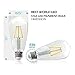 Edison Bulb – BWL 6.5W Edison Light Bulbs, 60W Replacement, 2700K Warm White Light, 800 Lumens, ST64 Antique Shape with E26 Base, ETL Listed, 6 Pack