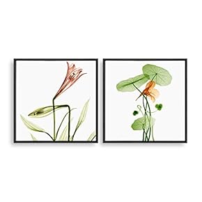 2 Piece Framed Canvas Home Artwork Decoration Transparent Flower Canvas Wall Art for Living Room, Bedroom - 16"x16"x2 Panels