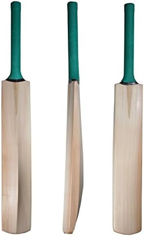 Facto Power Plain Kashmir Willow Cricket Bat with Short Handle