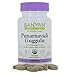 Banyan Botanicals Organic Punarnavadi Guggulu Tablets – Organic Joint Supplement – Supports Healthy Function of The Kidneys and Urinary System* – 90 Tablets – Non-GMO Sustainably Sourced Vegan*