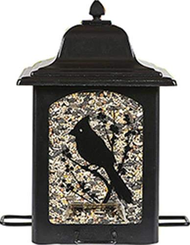 Amazon Com Perky Pet 363 Birds And Berries Lantern Feeder Wild
