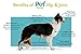 Natural Dog Hip & Joint Supplement for Dogs Arthritis Pain Relief. Turmeric Curcumin with Black Pepper for Anti Inflammatory. Tumeric MSM Glucosamine Chondroitin for Dogs Healthy Joints - 90 Chews
