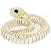 Honfill Skeleton Snake for Halloween Skeleton Decorations, 7 x 6 x 1.37 Inch Skeleton Yard Décor and Bones Animals, White