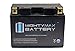 YTZ14S 12v 11.2Ah 230CCA Battery for 2010 Honda VFR1200F/FD