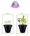 OxyLED LED Grow Light Bulb, Hydroponic Plant Grow Lights for Greenhouse (E26 12W 3Blue/9 Red LEDs)