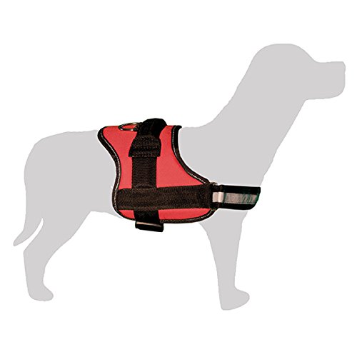 Arquivet 8435117896994 – Padded Harness, Red/Black, Size S