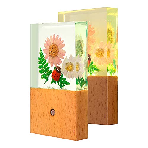 LiberFlor Resin Plug in Night Light,for Kid &Adult,Handmade of Wood & Dry Plants，4 Warm White LED