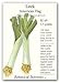 Leek American Flag Seed