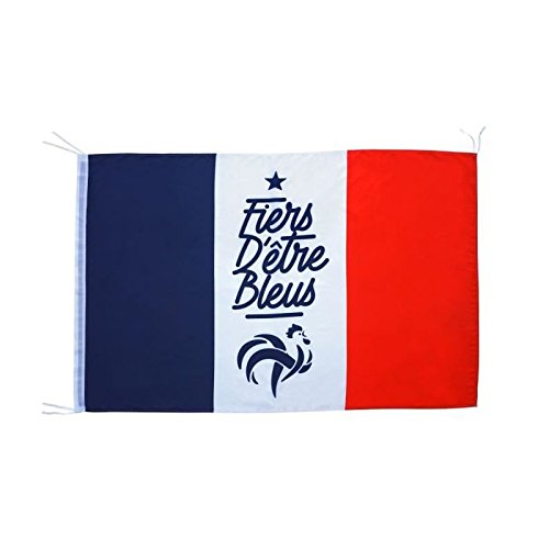 FFF Drapeau avec fourreau - 150 x 100 cm