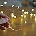 GardenDecor Led String Lights 50 LEDs Decorative Fairy Battery Powered String Lights, Copper Wire Light for Bedroom,Wedding(16ft/5m Warm White)