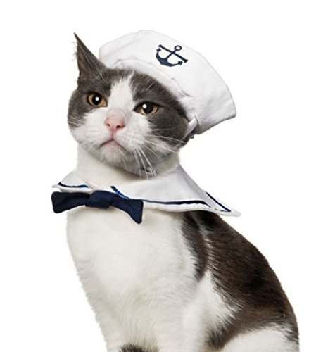 Kailian ® Hot Cute Dog Cat Hat - Image 4