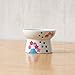 NECOICHI Raised Cat Food Bowl, Stress Free, Backflow Prevention, Dishwasher and Microwave Safe, Made to EC & ECC European Standard (Fuji Limited Edition)