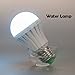 YJY Emergency LED Light Bulb with Build-in Rechargeable Battery for Hurricane Power Outage, Lampholder Hook for Camping Flashlight, 9W(75W Equivalent) 6000K E27 E26 120V 220V