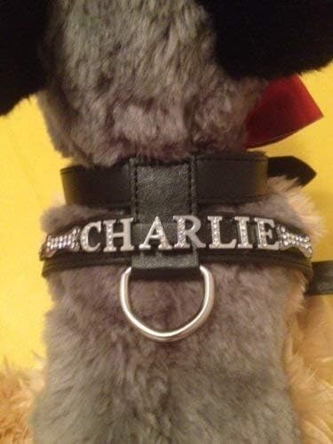 Surrey Feed Personalised Dog Harness diamante/rhinestone/bling/charms Available