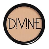 Divine Skin & Cosmetics Concealer 6.5G