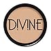 Divine Skin & Cosmetics Concealer 6.5G