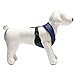 Gooby Choke Free Comfort X Soft Harness, Blue, Small