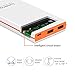 Lumsing Ultrathin Portable 2-Port USB Charger 8000mAh Premium External Battery Pack & Power Bank with Smart Charge for iPhone, iPad, Samsung Galaxy, and Android Smart Devices (White)