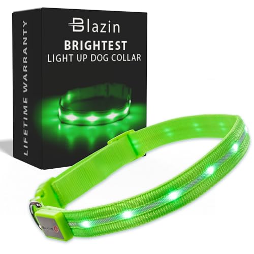 Blazin LED Dog Collar