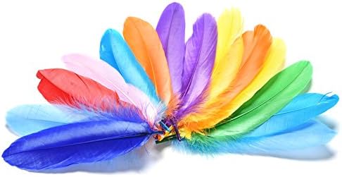 Pyage(TM) 20-30pcs Assorted Color Pretty Feather DIY Toy Two Size Children Adult DIY Drawing Artwork Toys FCI#