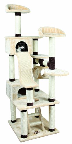 cat house online