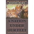 A Nation Under Our Feet: Black Political Struggles in the Rural South from Slavery to the Great Migration