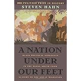 A Nation Under Our Feet: Black Political Struggles in the Rural South from Slavery to the Great Migration