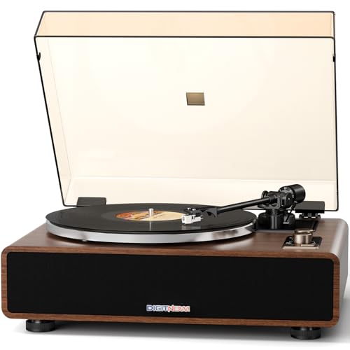 Vinyl Record Player with Built-in Speakers