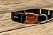 Zee.Dog | Dog Collar | Patagonia | Small