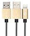 Volts USB-A to Lightning Cable Cord, MFi Certified Charger Compatible with iPhone, iPad, Rigorously Tested for Long Lifespan (Gold 6.6 Feet)