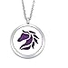 Tornado Horse Aromatherapy Essential Oil Diffuser Necklace Stainless Steel Round Locket Pendant 24