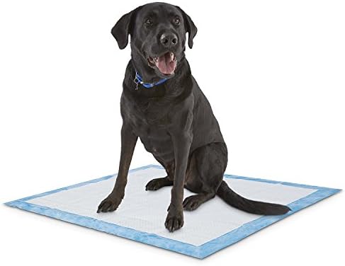 100 Count 30x30 Powerful Absorbency Potty Puppy Training Pads, WON`T LEAK OR SPREAD
