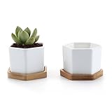 T4U Small White Succulent Planter Pots with Bamboo Tray Hexagon Set of 2, Geometric Cactus Plant Holder Container for Home Office Table Desk Decoration Gift for Mom Aunt Sisiter Daughter Gardener