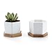 T4U Small White Succulent Planter Pots with Bamboo Tray Hexagon Set of 2, Geometric Ceramic Cactus Plant Holder, Succulent Plant Gifts for Gardener Women Coworker, Home Office Table Desk Decoration