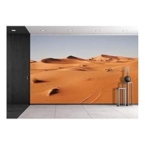 Untraveled Desert - Removable Wall Mural | Self-Adhesive Large Wallpaper - 66x96 inches