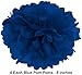 Glam Gala Decor 20 Pcs Hanging Paper Party Decoration Supplies Kit in Purple, Blue, Green, Teal, and Gold-Includes 4 Lanterns, 4 Pom Poms, 4 Tissue Fans, 4 Honeycombs, and 4 Strings of Dot Garland…