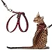 PUPTECK Cat Harness with Leash Set - Adjustable Soft Strap with Figure 8 Style Harness, Adorable and Special