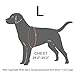 PetLove Dog Harness, Adjustable Soft Leash Padded No Pull Dog Harness for Small Medium Large Dogs, Red