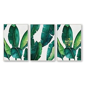 Framed Canvas Wall Art for Living Room, Bedroom Beautiful Plants Cactus Canvas Prints for Home Decoration Ready to Hanging - 16"x24"x3 Panels