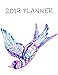 2019 Planner: Monthly Schedule Organizer - Agenda Planner 2019, 12 Months Calendar, Appointment Note by Zindy Canna